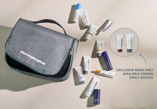 dermalogica minis and travel bag