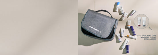 dermalogica minis and travel bag