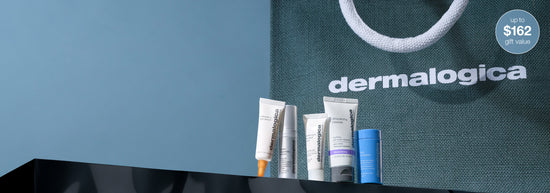 dermalogica minis and tote bag