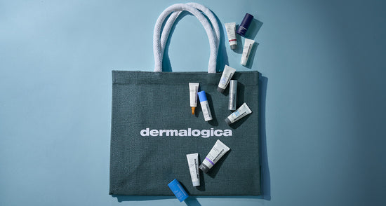 dermalogica minis and tote bag