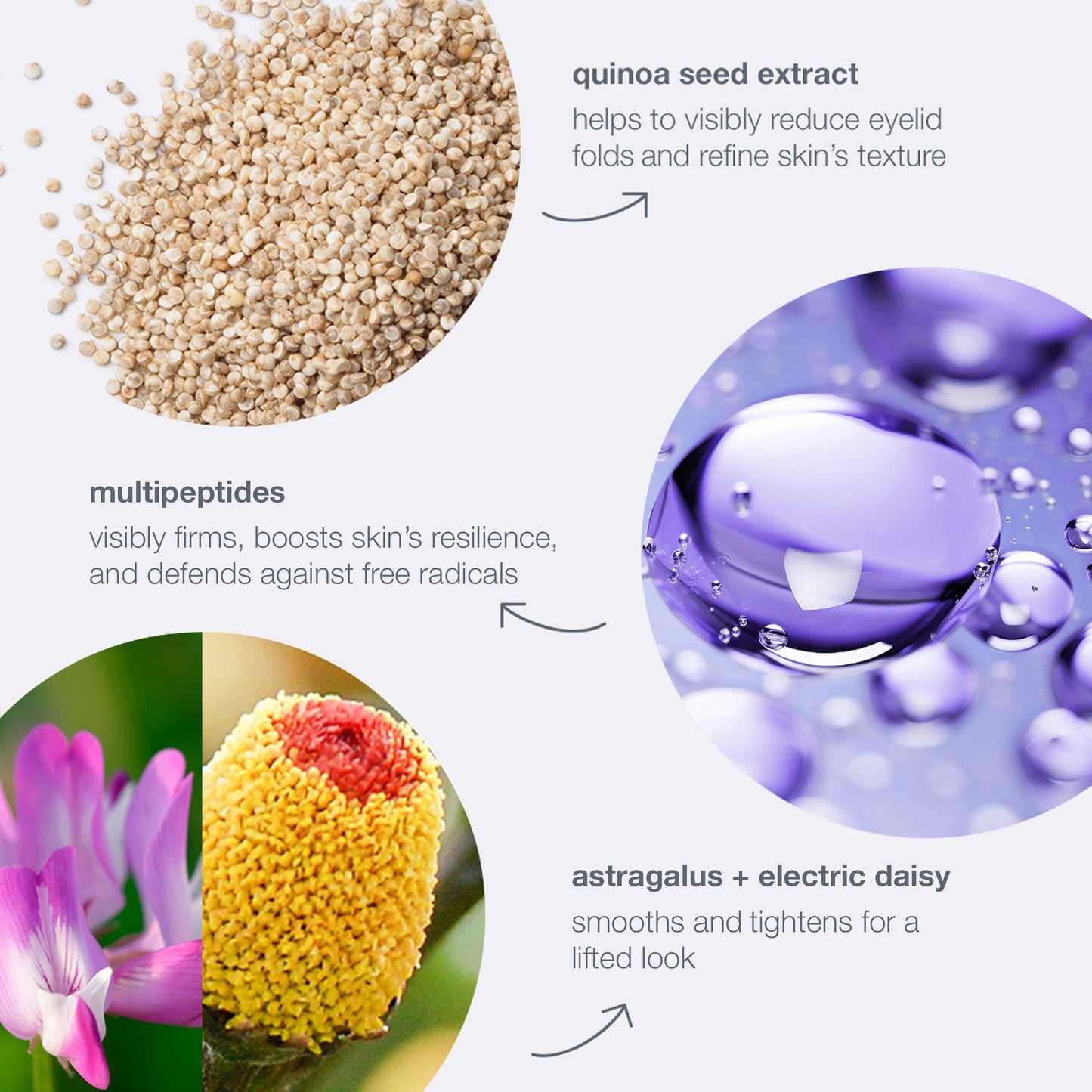 phyto nature lifting eye cream ingredients 